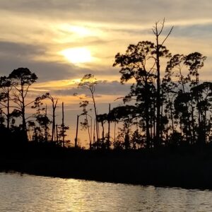 half day trip (4 hours)